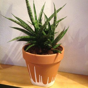 PlantpotDecosquare