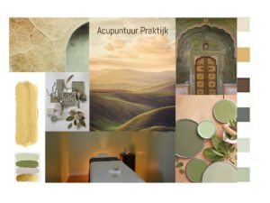 Accupuntuur website pdf